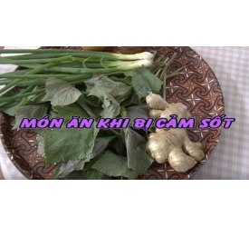 MÓN ĂN KHI BỊ CẢM SỐT