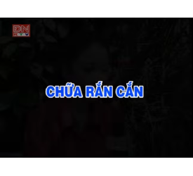 Chữa rắn cắn