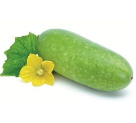 TRÁI BÍ ĐAO - MÓN ĂN VÀ BÀI THUỐC