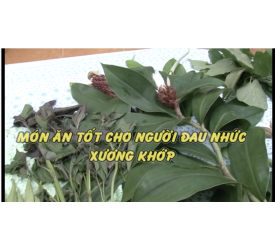 MÓN ĂN TỐT CHO NGƯỜI ĐAU NHỨC XƯƠNG KHỚP